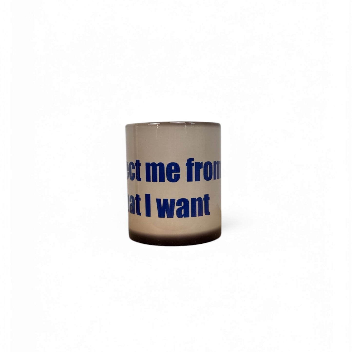 PROTECT ME FROM WHAT I WANT mug