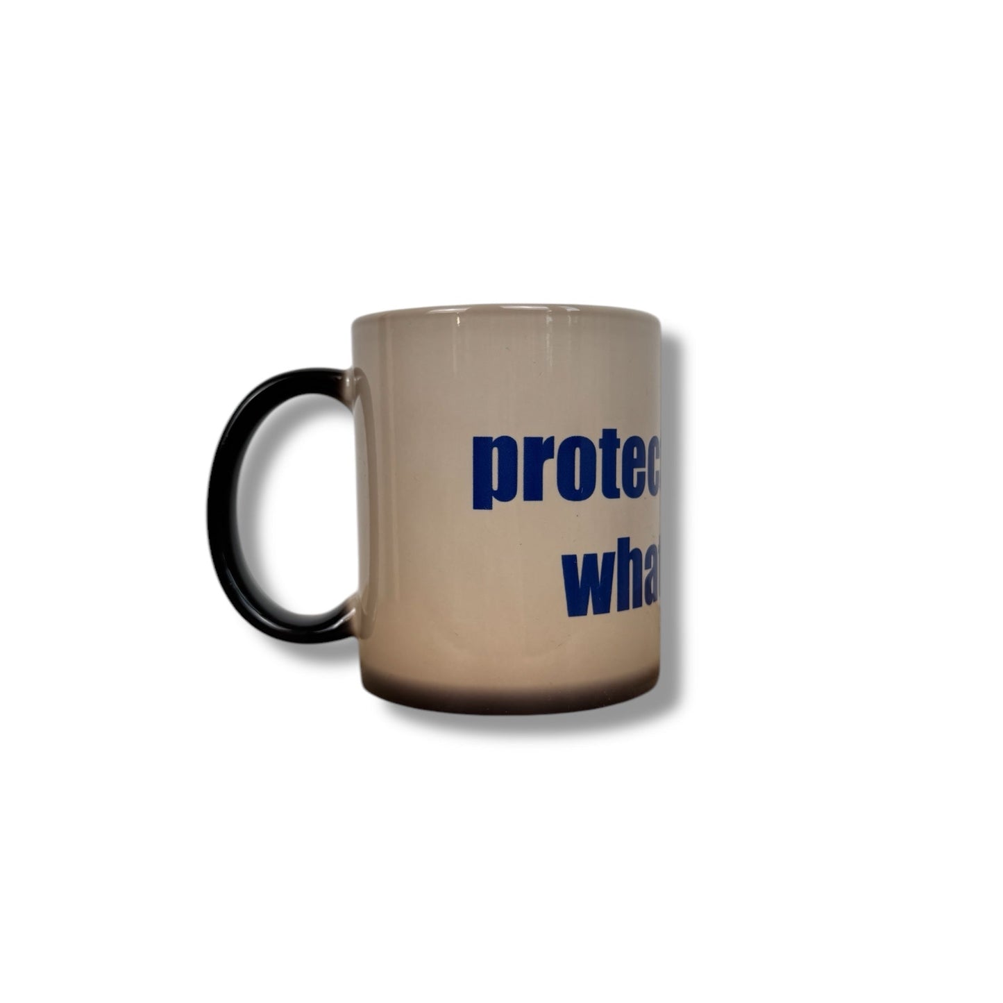 PROTECT ME FROM WHAT I WANT mug